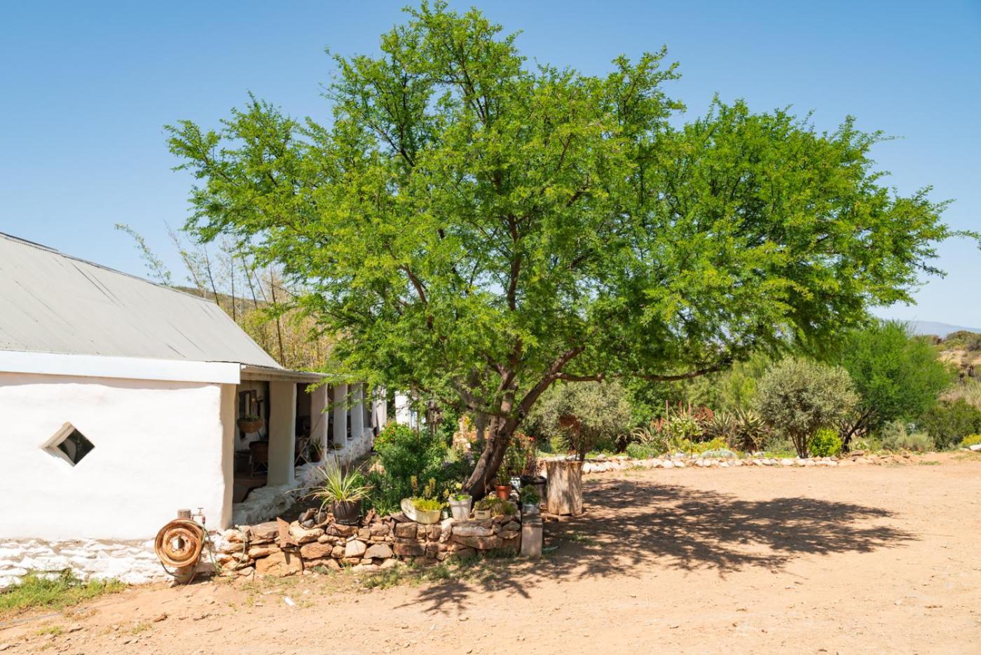 Bauernhof Watermill Farm Van Wyksdorp