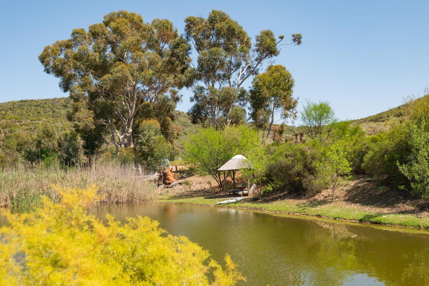 Watermill Farm * Van Wyksdorp