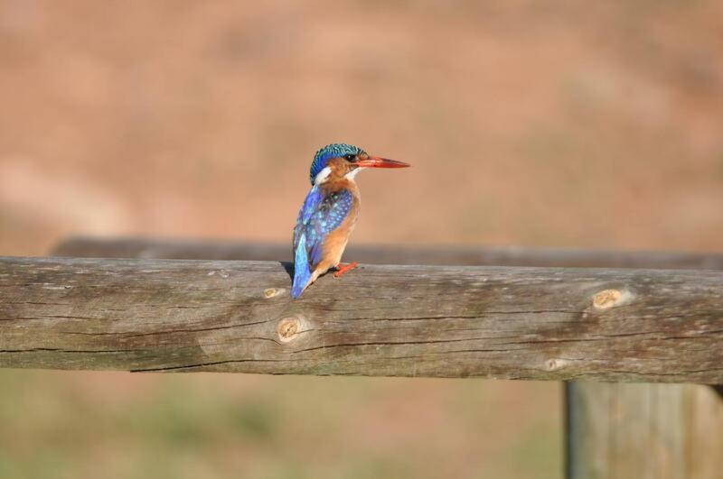 Watermill Farm Bauernhof *