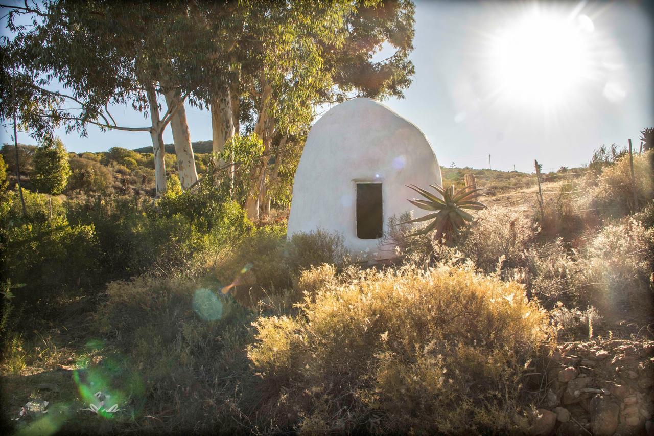 Watermill Farm * Van Wyksdorp